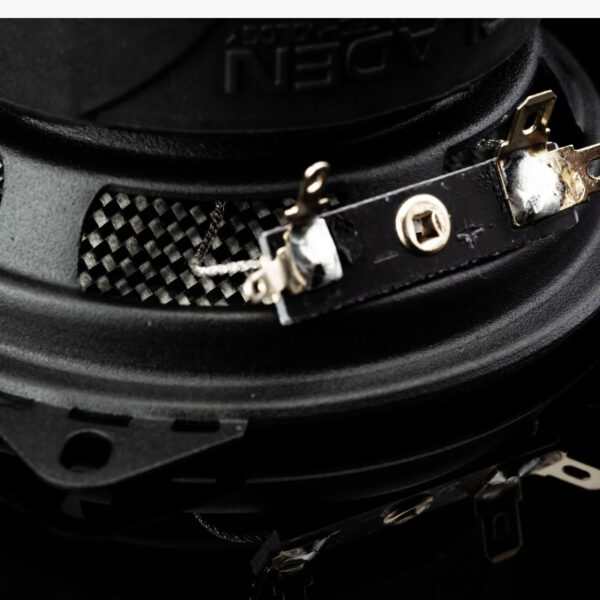 RS 100 - Image 4