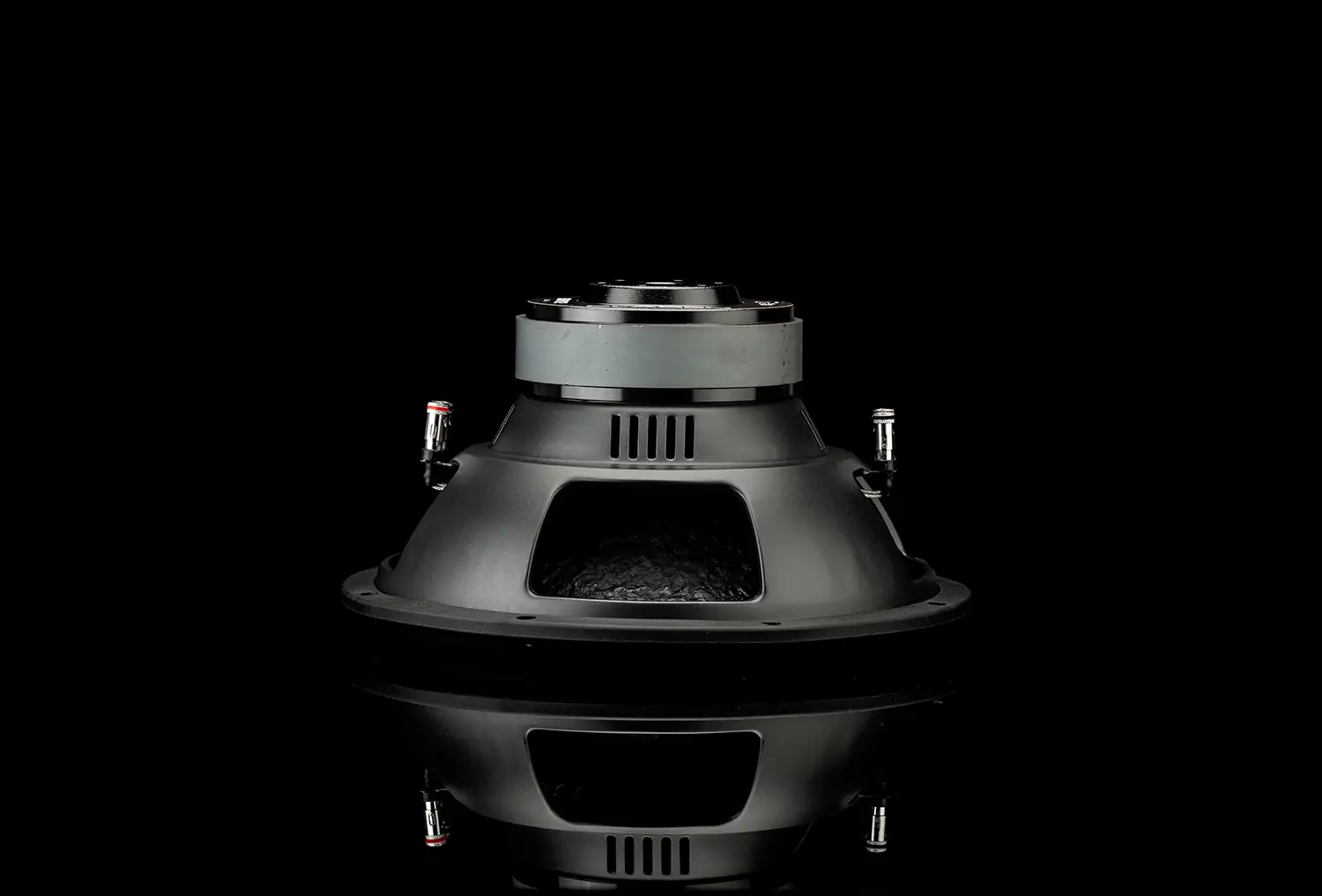 SSW 12 - Image 4